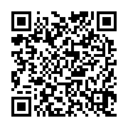 QR code for DYZ307
