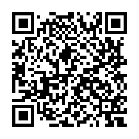 QR code for DZC911