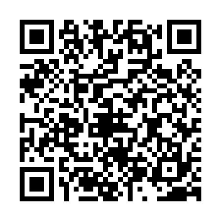 QR code for DZG0378