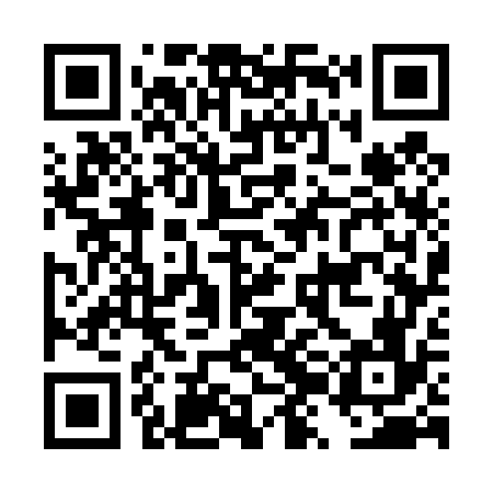 QR code for DZG476