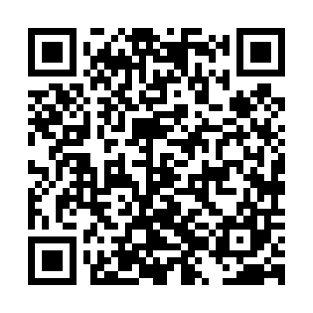 QR code for DZH407