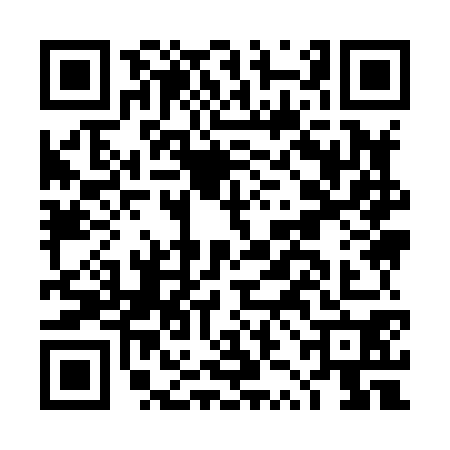 QR code for DZI8707