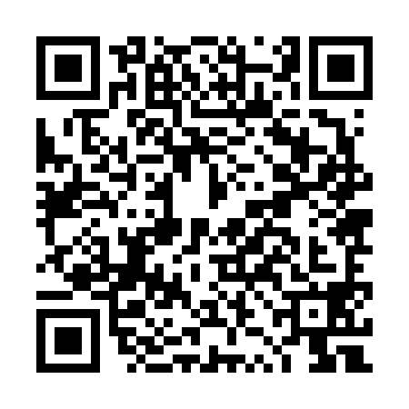 QR code for DZJ6980