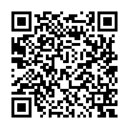 QR code for DZS9617