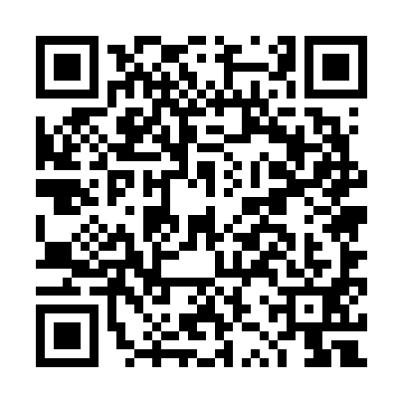 QR code for DZU6919