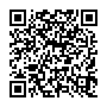 QR code for DZY811