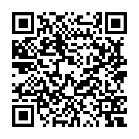 QR code for DZY8766