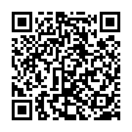 QR code for EHS538
