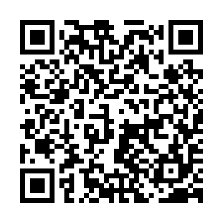 QR code for ENG294