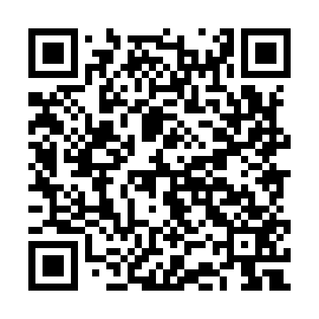 QR code for FCX953