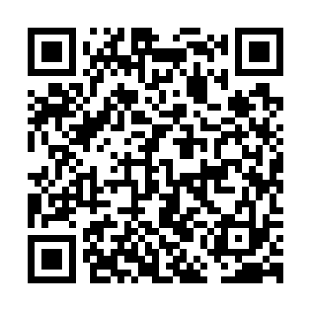 QR code for FEI733