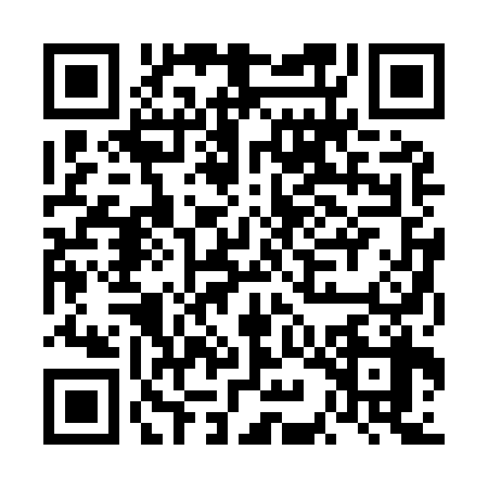 QR code for FIB9385
