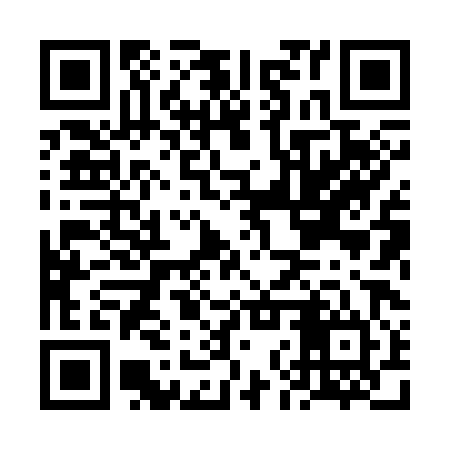 QR code for FNX384