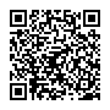 QR code for FPT2234