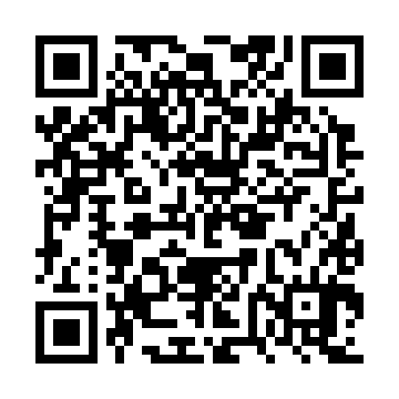 QR code for FVF384