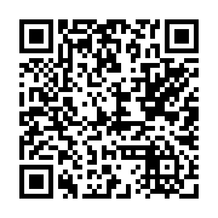 QR code for FVG295