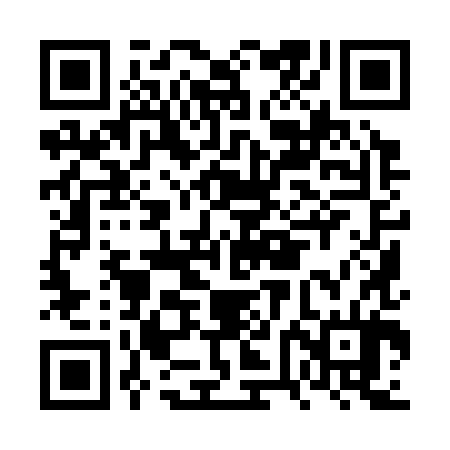QR code for FVI384