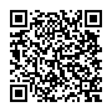QR code for FVZ411