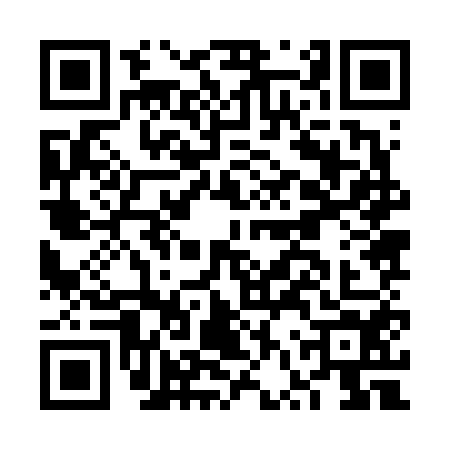 QR code for FVZ6541