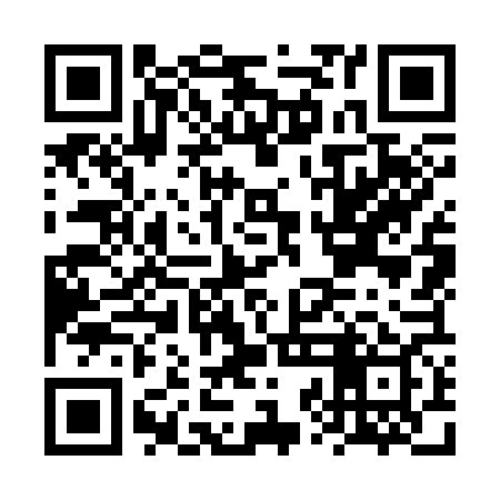 QR code for FZO369