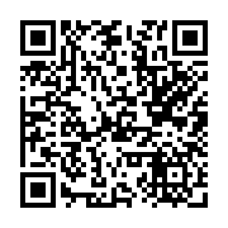 QR code for FZS387
