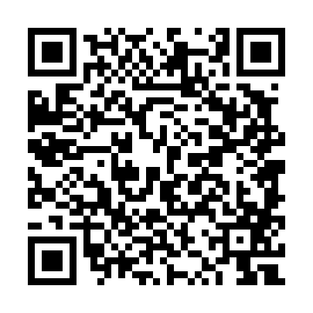 QR code for FZT4876