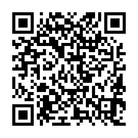 QR code for FZU091