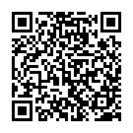 QR code for FZV382