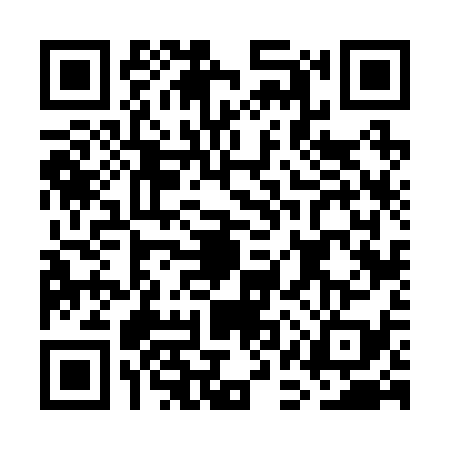 QR code for GAV2393