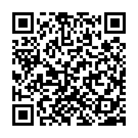 QR code for GFB538