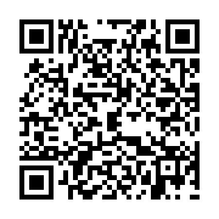 QR code for GFY383