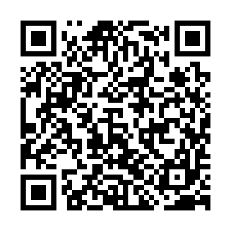 QR code for GII397