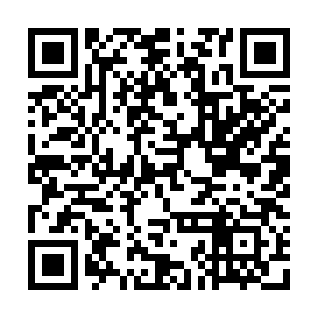 QR code for GJI383