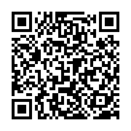 QR code for GOE228