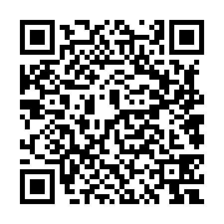 QR code for GSV8381