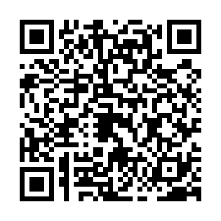 QR code for HGO5313