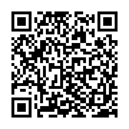 QR code for HHK393