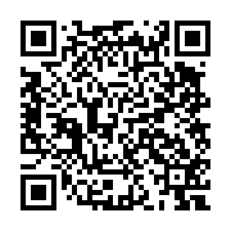 QR code for HJR413