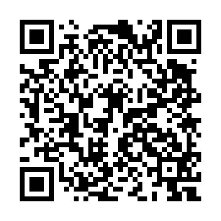 QR code for HNK493