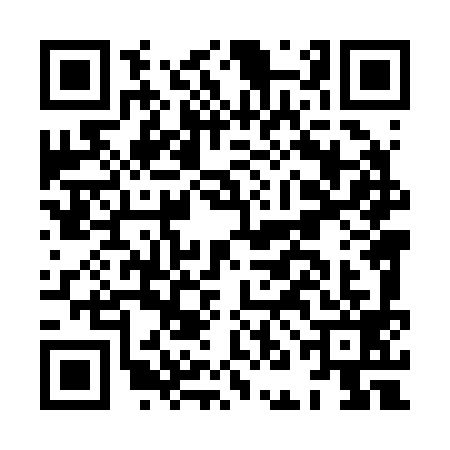 QR code for HNL2998