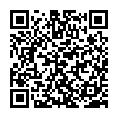QR code for HNY391