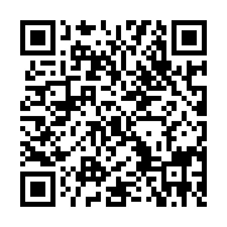 QR code for HPN999