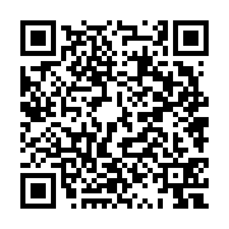 QR code for HQN6313