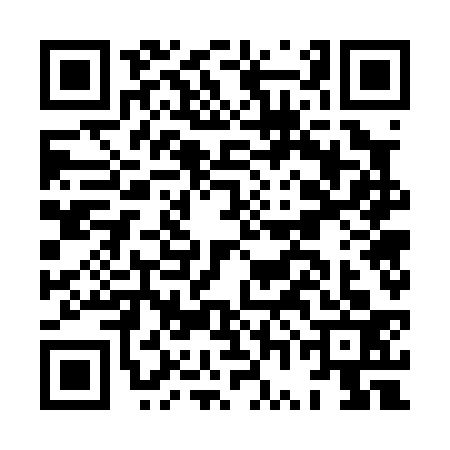 QR code for HWG0333