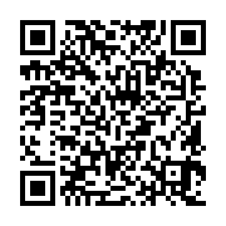 QR code for IAM381
