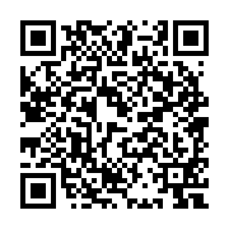 QR code for IBP2919