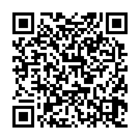 QR code for IBV368