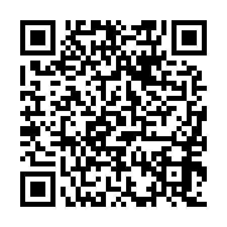 QR code for IBV9595
