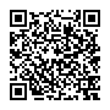QR code for ICO5393