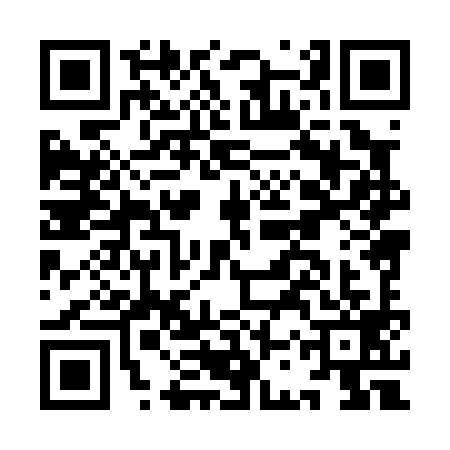 QR code for ICX0993